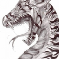 GingerDragon92