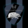 NocturnalHedgehog